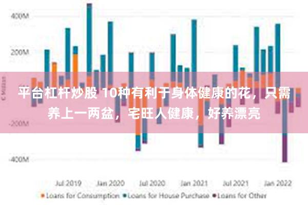 平台杠杆炒股 10种有利于身体健康的花，只需养上一两盆，宅旺人健康，好养漂亮