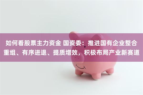 如何看股票主力资金 国资委：推进国有企业整合重组、有序进退、提质增效，积极布局产业新赛道