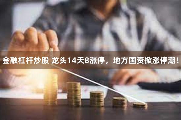 金融杠杆炒股 龙头14天8涨停，地方国资掀涨停潮！