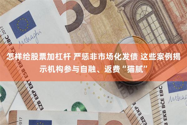 怎样给股票加杠杆 严惩非市场化发债 这些案例揭示机构参与自融、返费“猫腻”