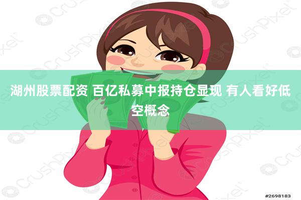 湖州股票配资 百亿私募中报持仓显现 有人看好低空概念