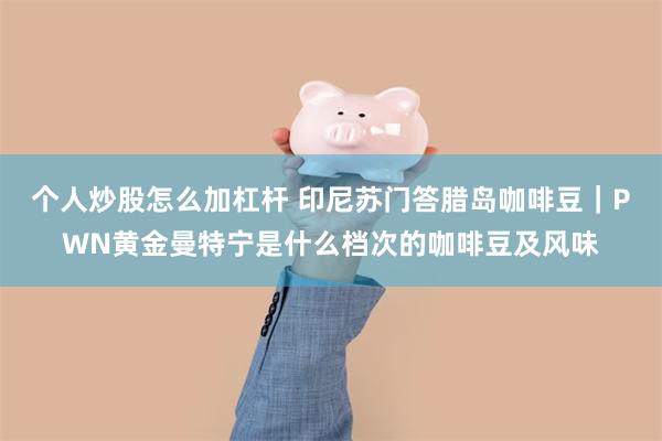 个人炒股怎么加杠杆 印尼苏门答腊岛咖啡豆｜PWN黄金曼特宁是什么档次的咖啡豆及风味