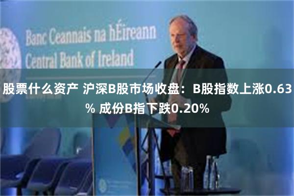 股票什么资产 沪深B股市场收盘：B股指数上涨0.63% 成份B指下跌0.20%