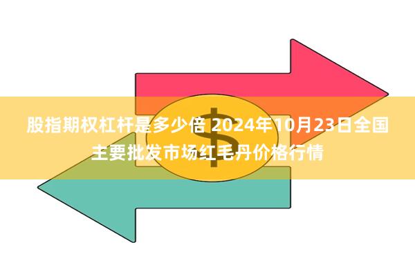 股指期权杠杆是多少倍 2024年10月23日全国主要批发市场红毛丹价格行情