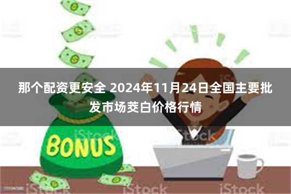 那个配资更安全 2024年11月24日全国主要批发市场茭白价格行情