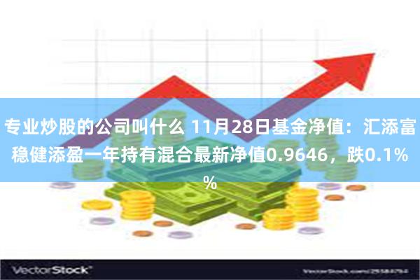 专业炒股的公司叫什么 11月28日基金净值：汇添富稳健添盈一年持有混合最新净值0.9646，跌0.1%