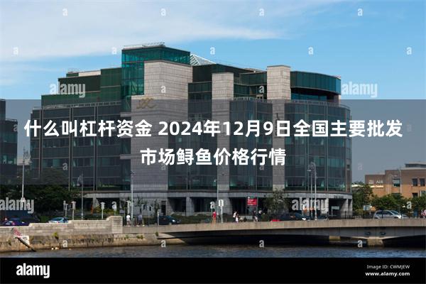 什么叫杠杆资金 2024年12月9日全国主要批发市场鲟鱼价格行情