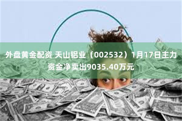 外盘黄金配资 天山铝业（002532）1月17日主力资金净卖出9035.40万元