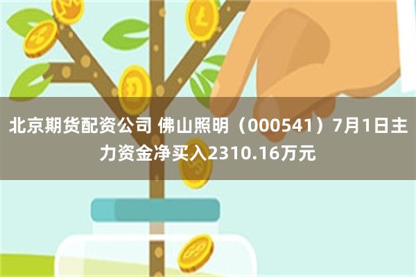 北京期货配资公司 佛山照明（000541）7月1日主力资金净买入2310.16万元