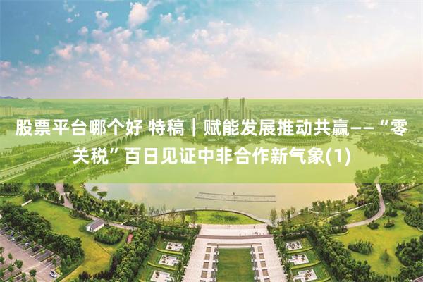 股票平台哪个好 特稿｜赋能发展　推动共赢——“零关税”百日见证中非合作新气象(1)